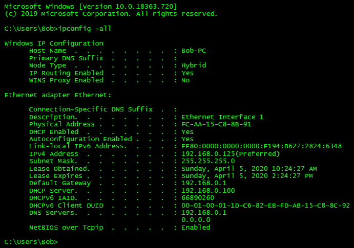 Chapter 3.1 Practice IPConfig Output